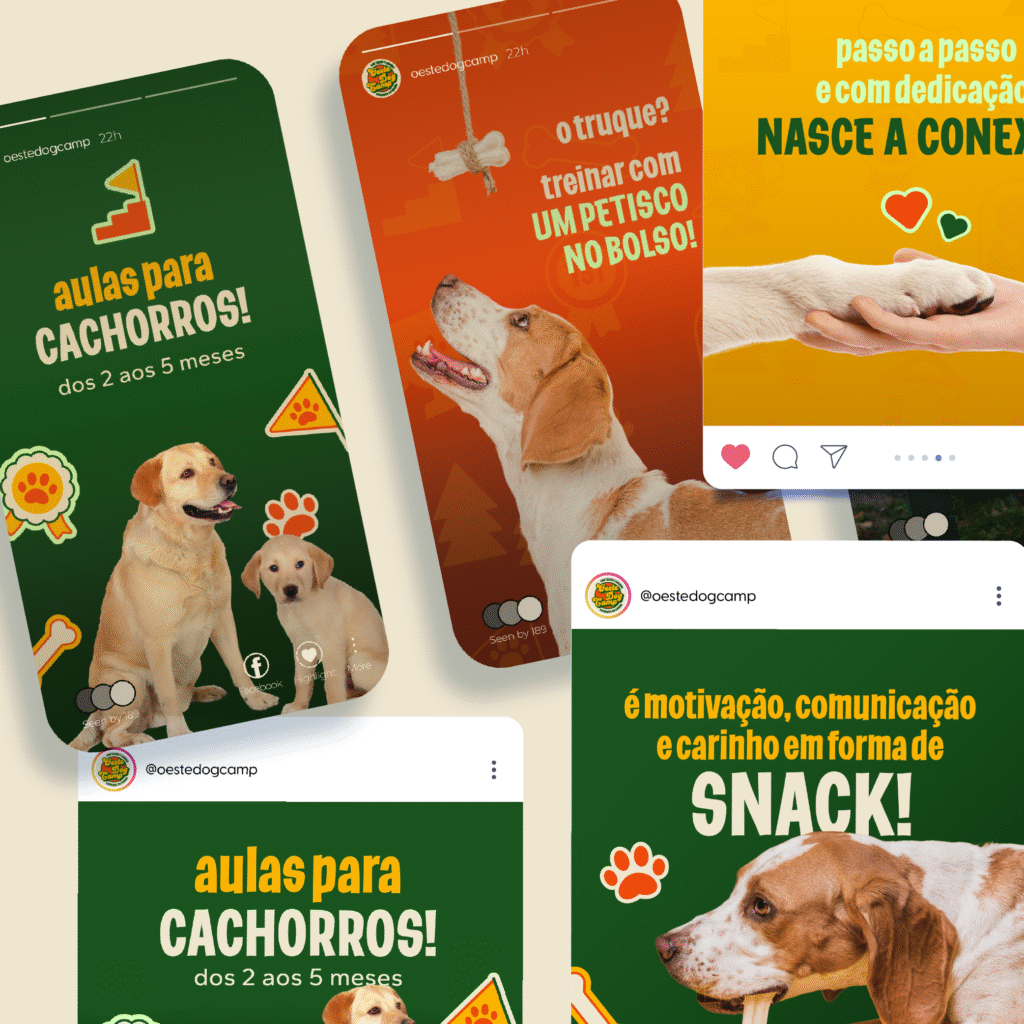 portfolio Oeste Dog Camp