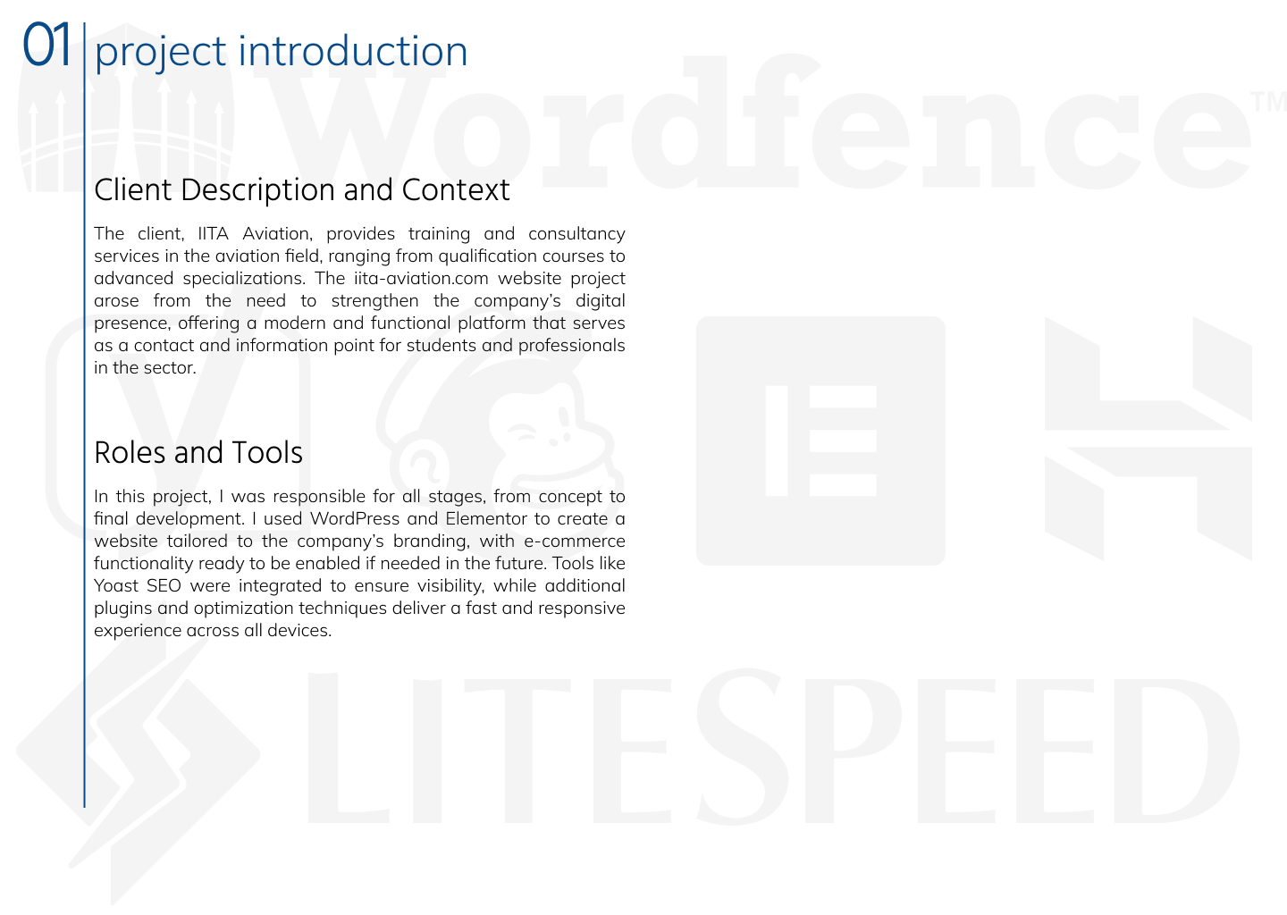 portfolio iita aviation